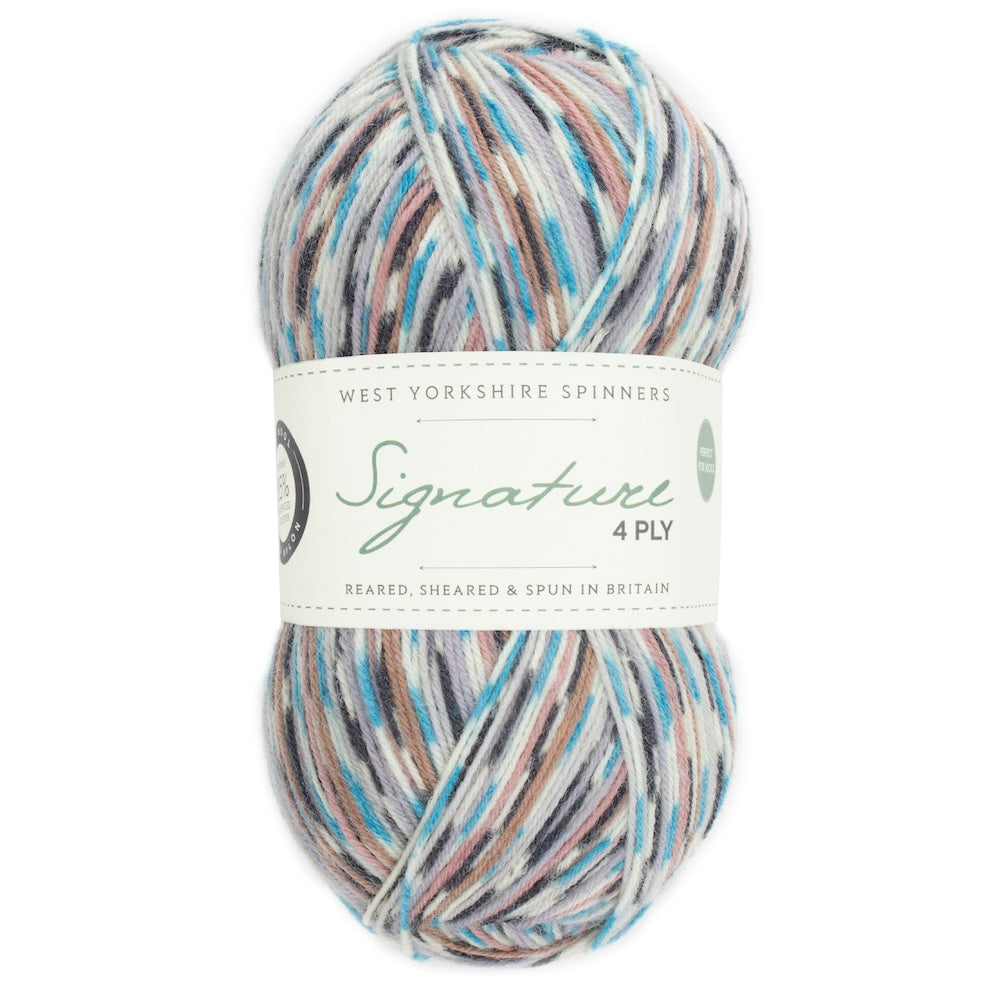 Signature 4-ply Country Birds | sock yarn in the colors of native songbirds