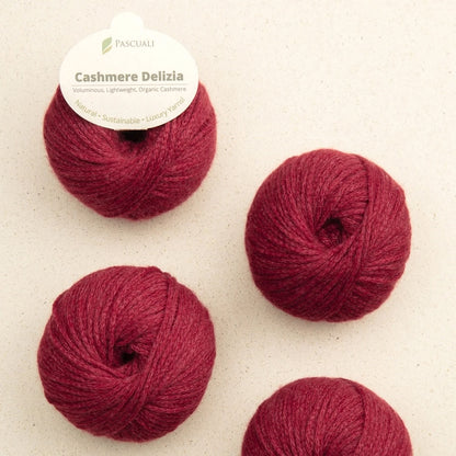 Pascuali Cashmere Delizia Farbe 28