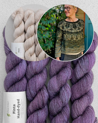 Pull libellule | motif délicat de libellules en fil Pinta de Pascuali
