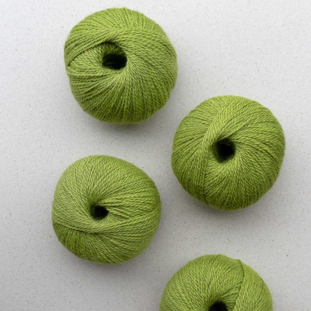 Pascuali Balayage Farbe 610
