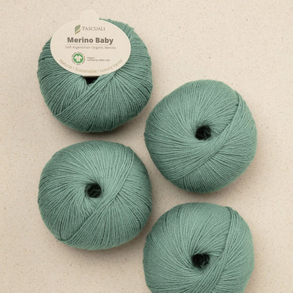 Pascuali Merino Baby Farbe 319