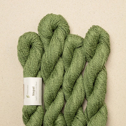 Pascuali Nepal Farbe 07