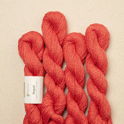 Pascuali Nepal Farbe 39