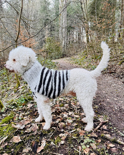 Dog Sweater Black Sheep (PDF) - pattern