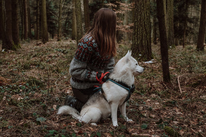 Forest Guard Sweater | kontrastreiches Norwegermuster aus Alafosslopi von Lopi Island