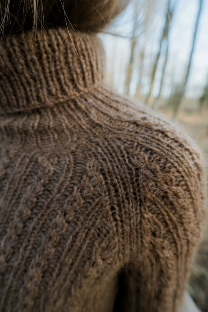 Chandail Oakwood Raglan | fin motif torsadé en Plötulopi de Lopi Island