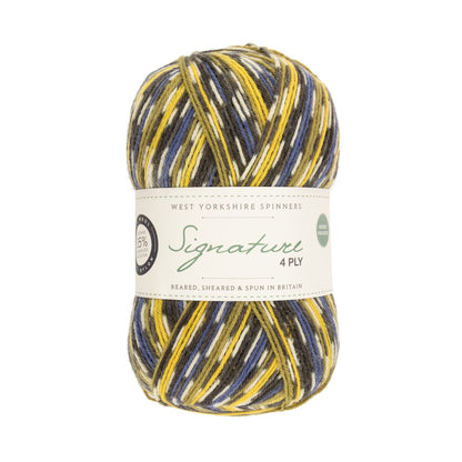 Signature 4-ply Country Birds | sock yarn in the colors of native songbirds