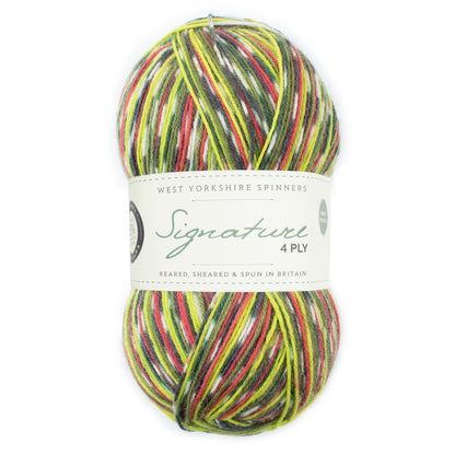 Signature 4-ply Country Birds | sock yarn in the colors of native songbirds