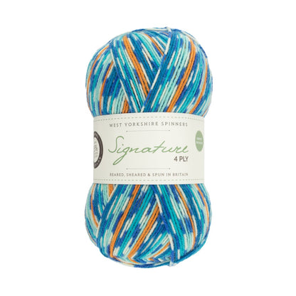 Signature 4-ply Country Birds | sock yarn in the colors of native songbirds