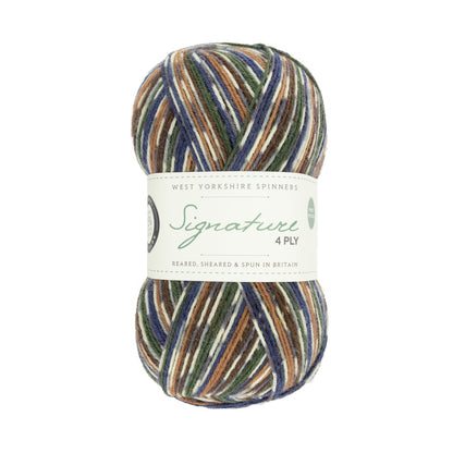 Signature 4-ply Country Birds | sock yarn in the colors of native songbirds