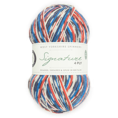 Signature 4-ply Country Birds | sock yarn in the colors of native songbirds
