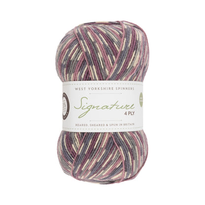 Signature 4-ply Country Birds | sock yarn in the colors of native songbirds