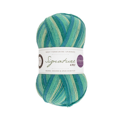Signature 4-ply Winwick Mum | fil à chaussettes auto-rayant