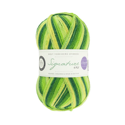 Signature 4-ply Winwick Mum | fil à chaussettes auto-rayant