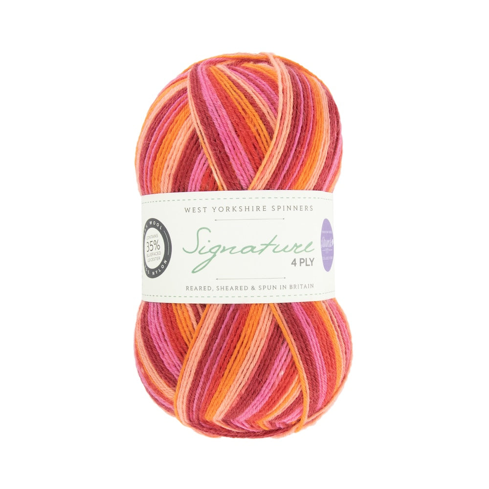 Signature 4-ply Winwick Mum | fil à chaussettes auto-rayant