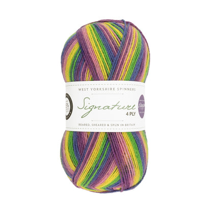 Signature 4-ply Winwick Mum | fil à chaussettes auto-rayant